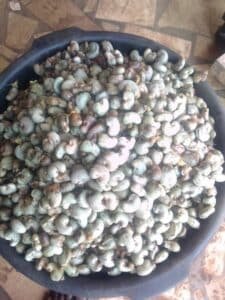 Price of Cashew Nuts in Nigeria today 2025 3 Price of Cashew Nuts in Nigeria today