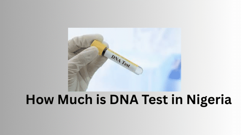 How Much is DNA Test in Nigeria