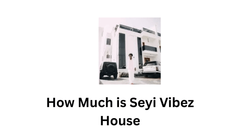How Much is Seyi Vibez House