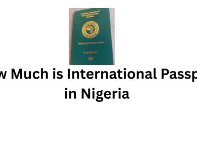 How Much is International Passport in Nigeria 