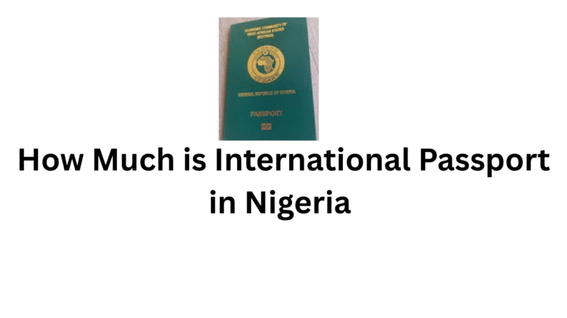 How Much is International Passport in Nigeria 