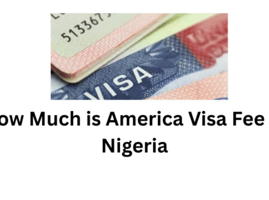 How Much is America Visa Fee in Nigeria