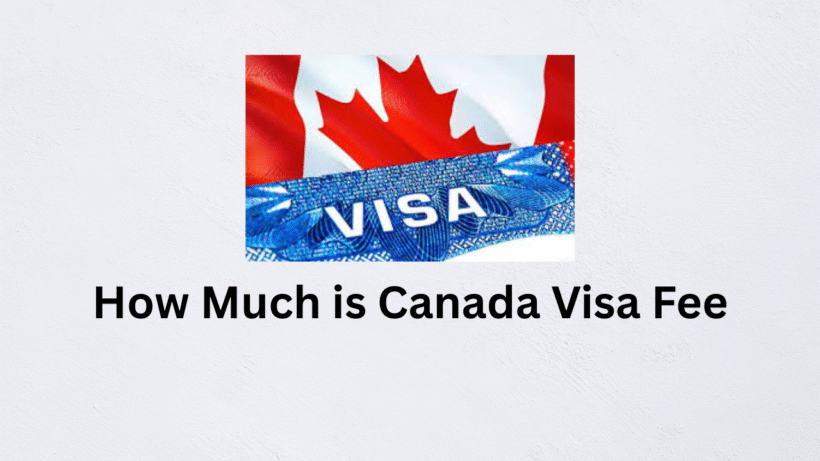 How Much is Canada Visa Fee