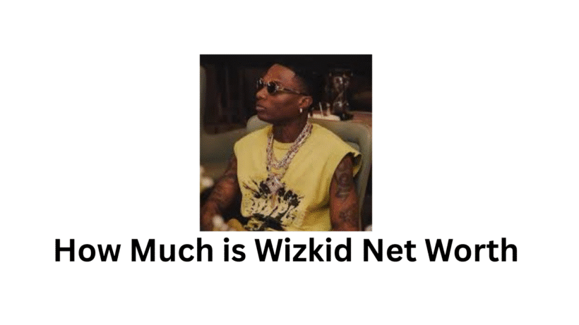How Much is Wizkid Net Worth